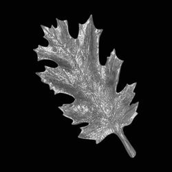 Large Oak Leaf